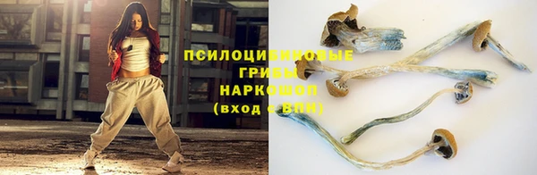 каннабис Алексеевка