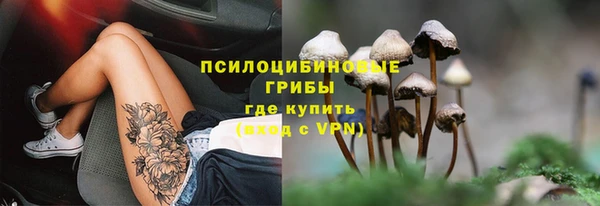 ALPHA PVP Алзамай
