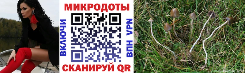 Псилоцибиновые грибы MAGIC MUSHROOMS  hydra рабочий сайт  Кирово-Чепецк 